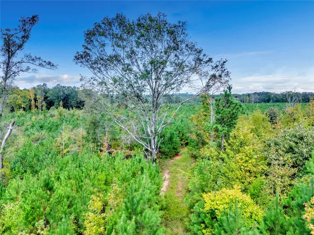 0 Warrior Road, Ohatchee, Alabama 36271