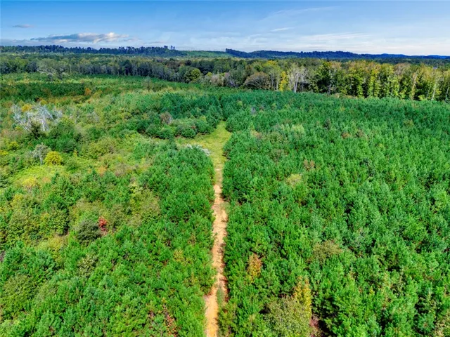 0 Warrior Road, Ohatchee, Alabama 36271