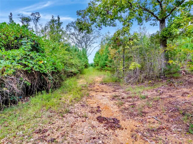 0 Warrior Road, Ohatchee, Alabama 36271
