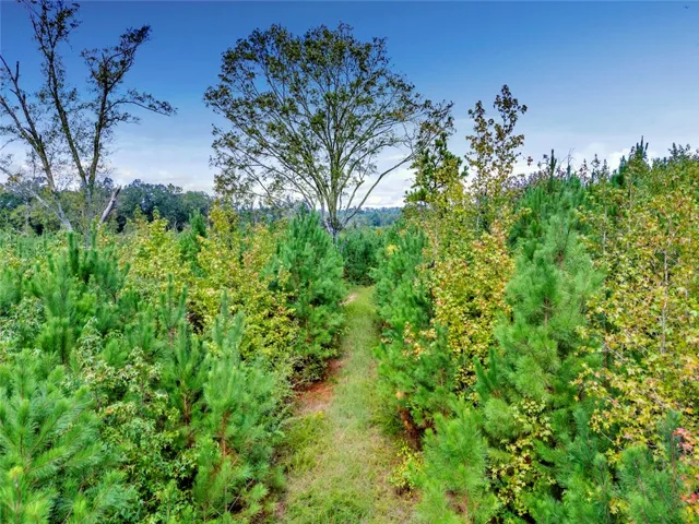 0 Warrior Road, Ohatchee, Alabama 36271