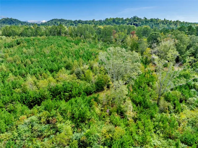 0 Warrior Road, Ohatchee, Alabama 36271