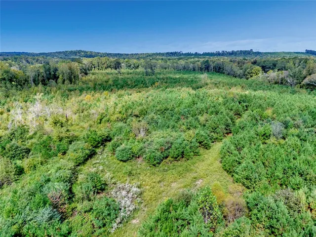 0 Warrior Road, Ohatchee, Alabama 36271