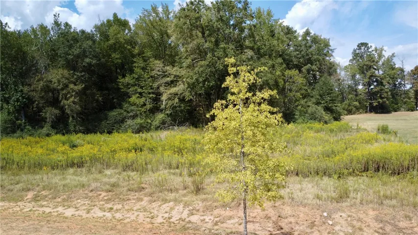 6805 Bramble Lane, Auburn, Alabama 36830