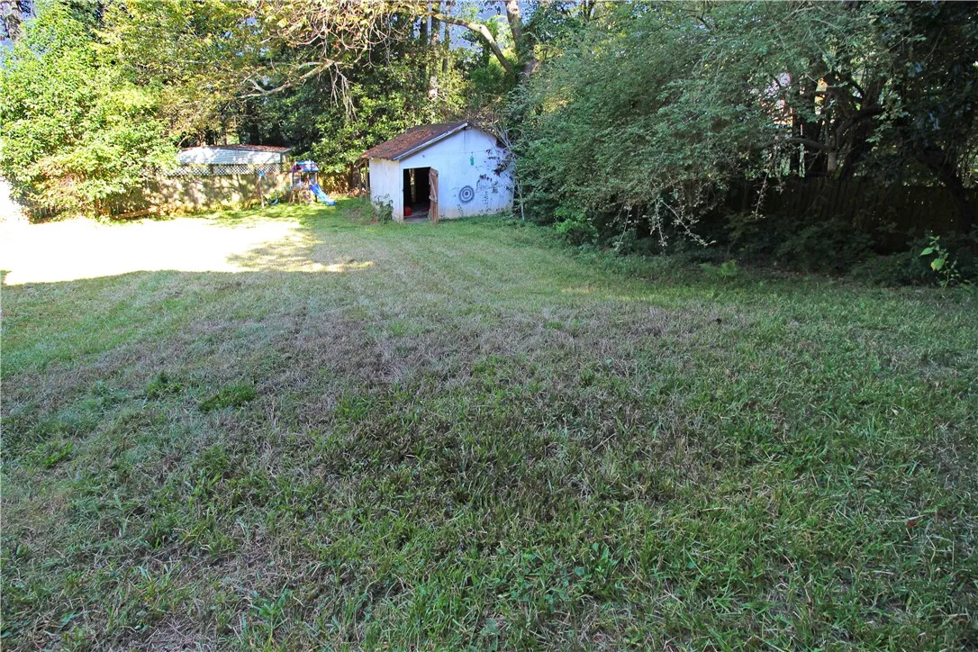 Backyard Shed
