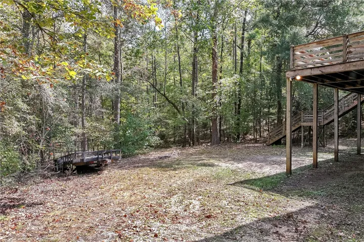 Back yard