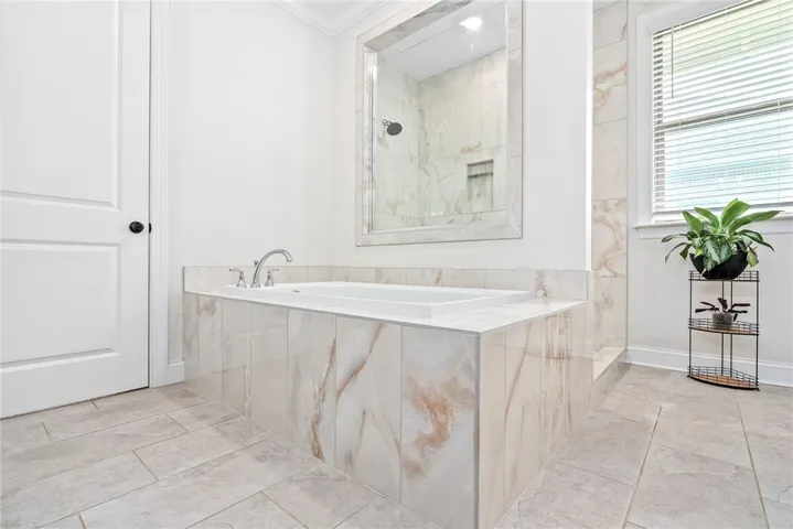 Primary bathroom tub