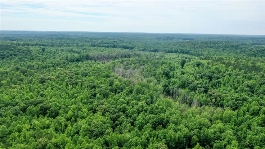 0 Lee Road 76 N/a, Waverly, Alabama 36879