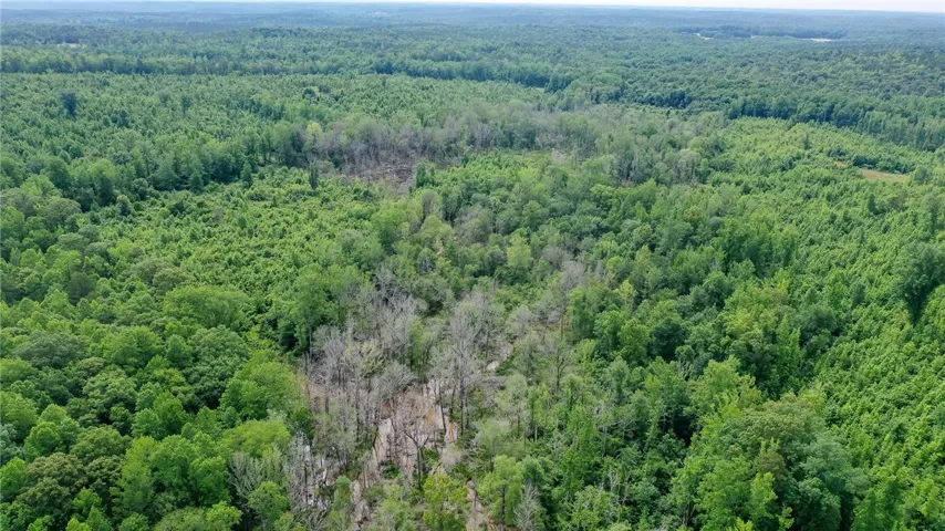 0 Lee Road 76 N/a, Waverly, Alabama 36879