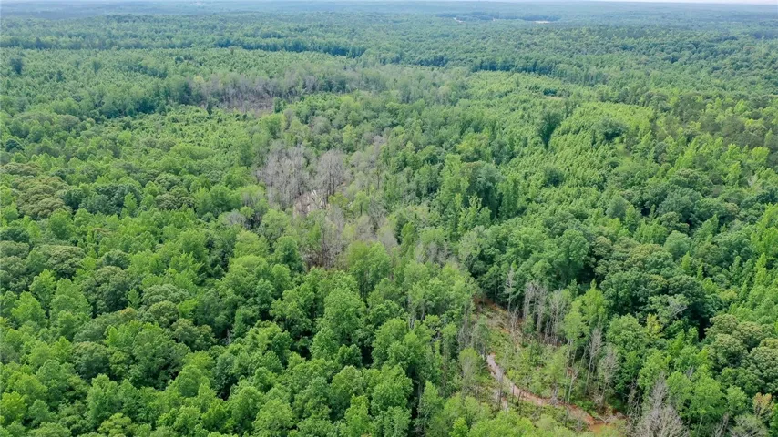 0 Lee Road 76 N/a, Waverly, Alabama 36879