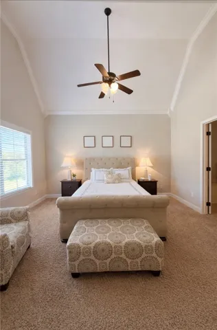 This airy bedroom features high vaulted ceilings and plush carpeting.