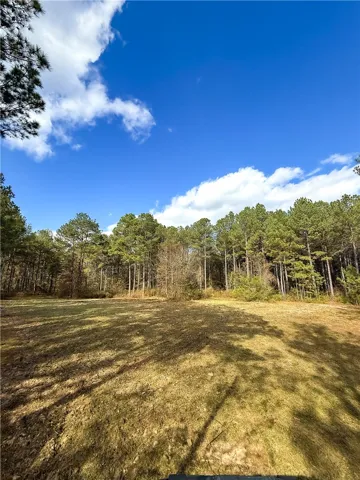 407 County Road 258 N/a, Five Points, Alabama 36855