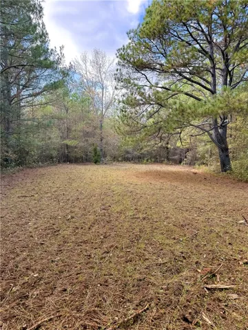 407 County Road 258 N/a, Five Points, Alabama 36855