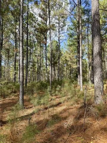 407 County Road 258 N/a, Five Points, Alabama 36855