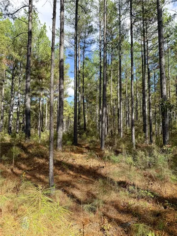407 County Road 258 N/a, Five Points, Alabama 36855