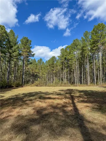 407 County Road 258 N/a, Five Points, Alabama 36855