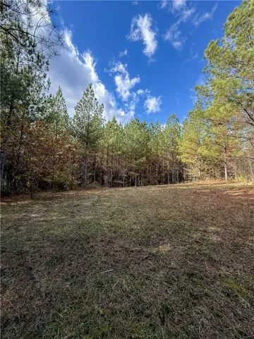 407 County Road 258 N/a, Five Points, Alabama 36855