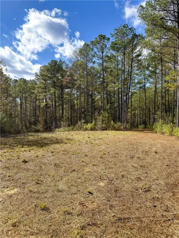 407 County Road 258 N/a, Five Points, Alabama 36855