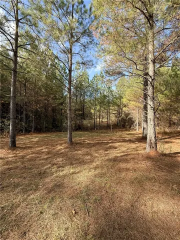 407 County Road 258 N/a, Five Points, Alabama 36855