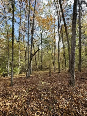 407 County Road 258 N/a, Five Points, Alabama 36855