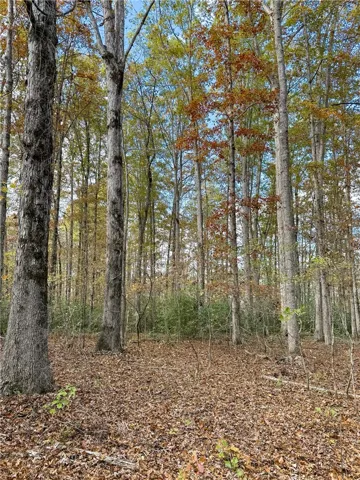 407 County Road 258 N/a, Five Points, Alabama 36855