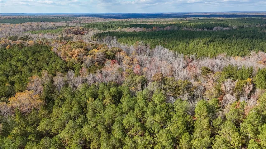407 County Road 258 N/a, Five Points, Alabama 36855