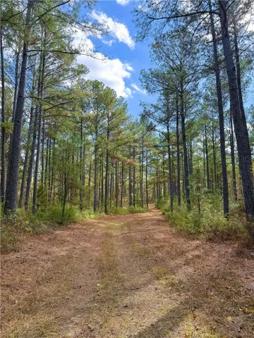 407 County Road 258 N/a, Five Points, Alabama 36855
