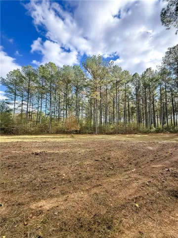 407 County Road 258 N/a, Five Points, Alabama 36855