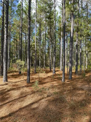 407 County Road 258 N/a, Five Points, Alabama 36855