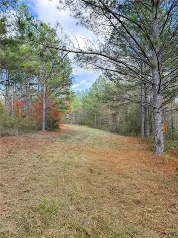 407 County Road 258 N/a, Five Points, Alabama 36855