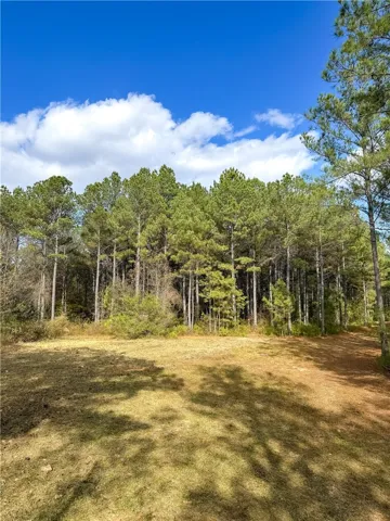 407 County Road 258 N/a, Five Points, Alabama 36855