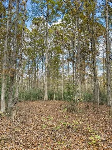 407 County Road 258 N/a, Five Points, Alabama 36855