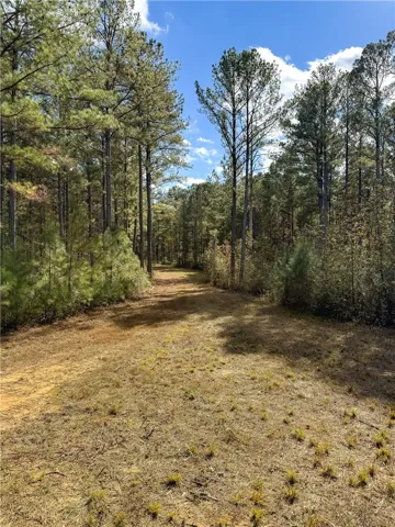 407 County Road 258 N/a, Five Points, Alabama 36855