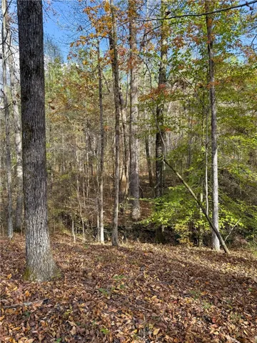 407 County Road 258 N/a, Five Points, Alabama 36855