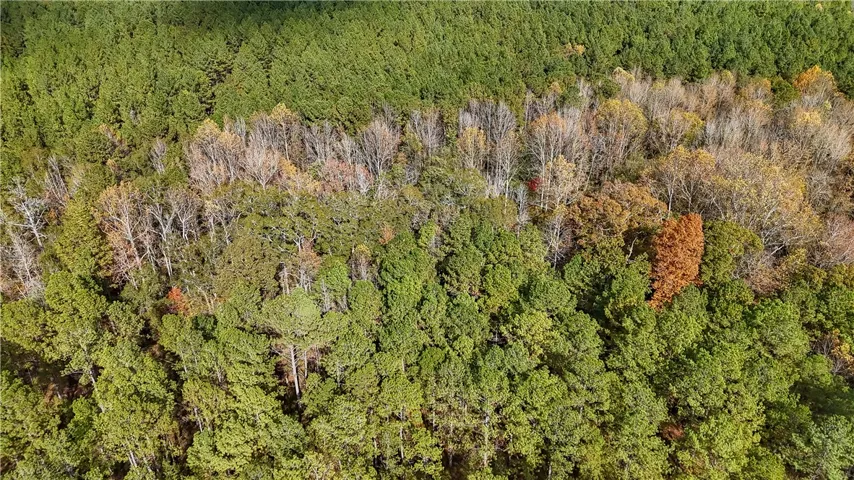 407 County Road 258 N/a, Five Points, Alabama 36855