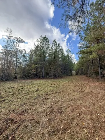 407 County Road 258 N/a, Five Points, Alabama 36855