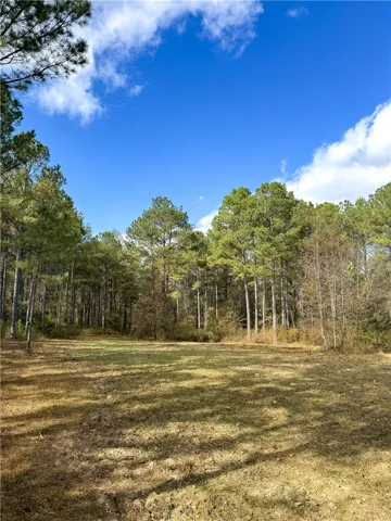 407 County Road 258 N/a, Five Points, Alabama 36855