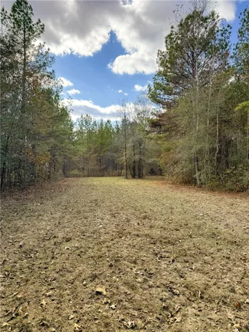 407 County Road 258 N/a, Five Points, Alabama 36855