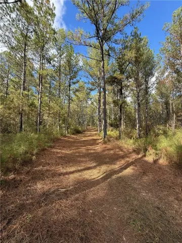 407 County Road 258 N/a, Five Points, Alabama 36855