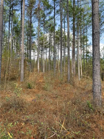 407 County Road 258 N/a, Five Points, Alabama 36855