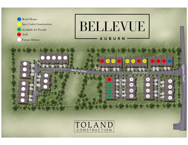 2221 Bellevue Place, Auburn, Alabama 36830