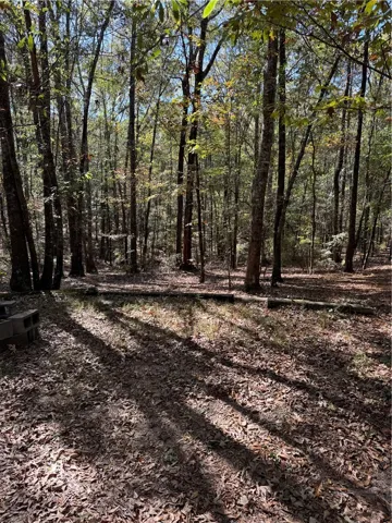 175 Lee Road 652 N/a, Auburn, Alabama 36832