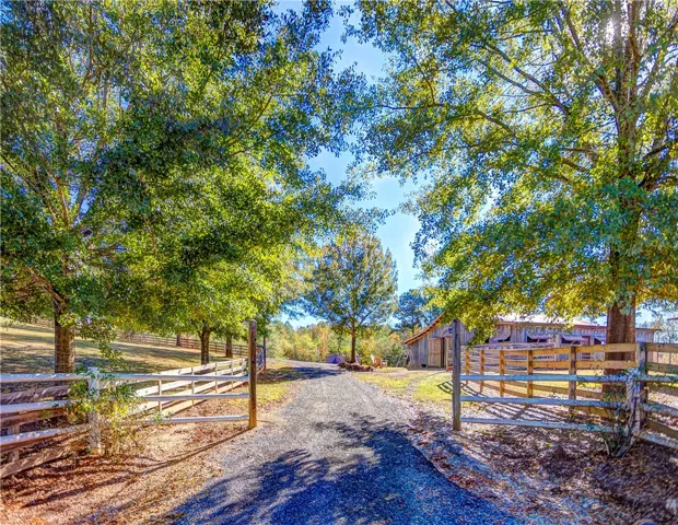 15315 County Road 56 N/a, Fayetteville, Alabama 35151
