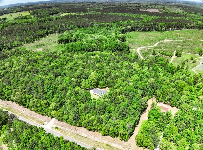 This elevated view captures a serene residence nestled amidst a vibrant, expansive woodland.