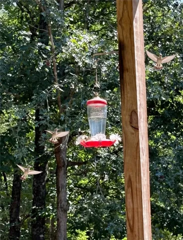 Witness nature's charm with this inviting outdoor setting, perfect for attracting local wildlife.