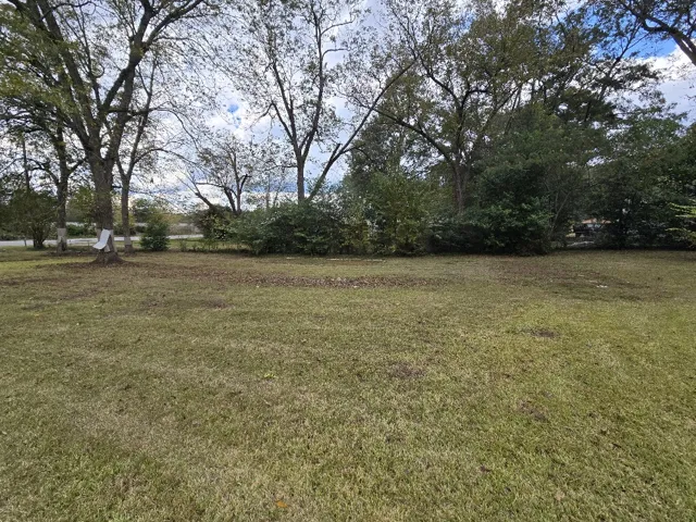1212 Washington Street, Alexander City, Alabama 35010