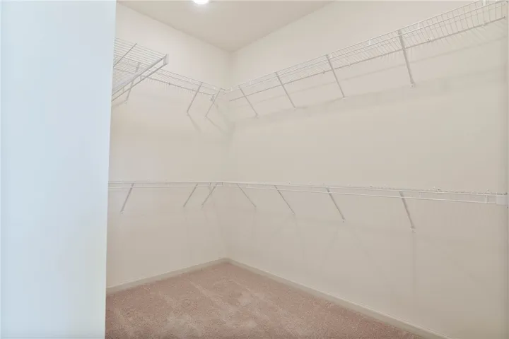 Lot 39 Firefly Completed Photos