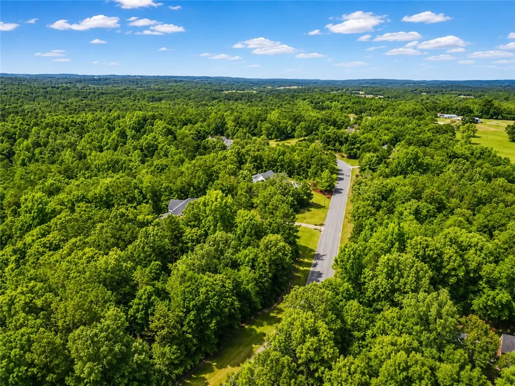 Enjoy Auburn City Schools and services paired with the privacy and tranquility of a 3-acre homesite.