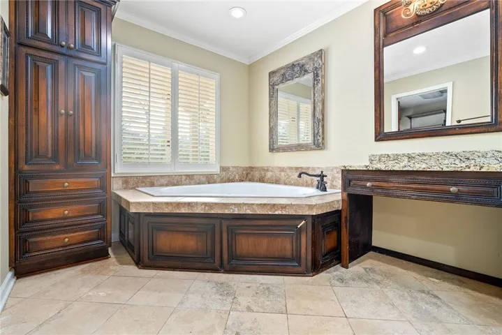 Primary bathroom tub