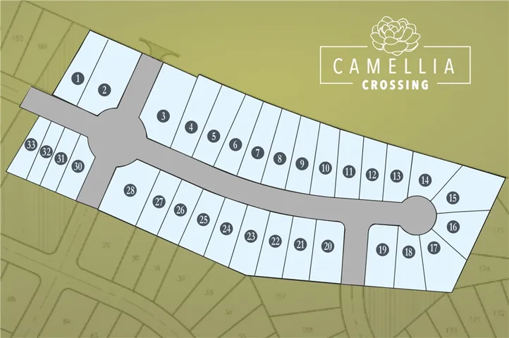 Community Plat Camellia Crossing in Valley, AL!