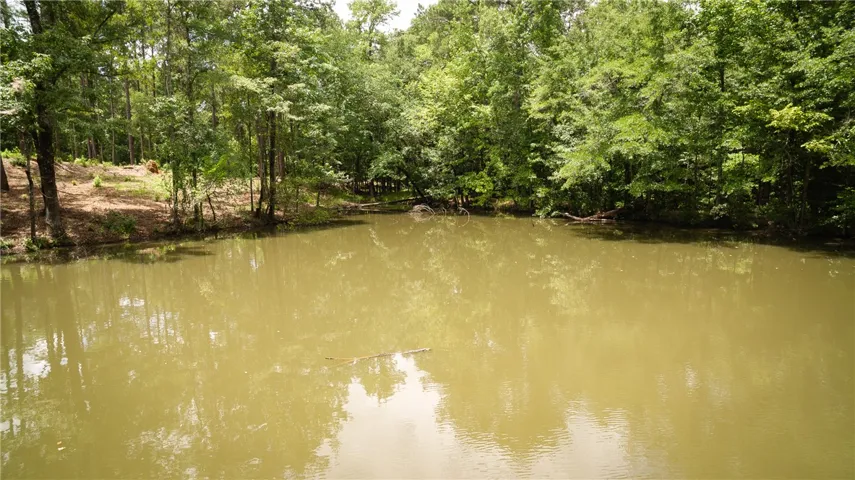 4559 Harrogate Lane, Auburn, Alabama 36830